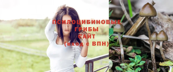 МДМА Каменск-Шахтинский