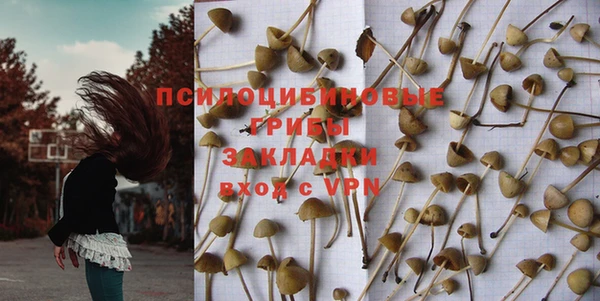 героин Каменка