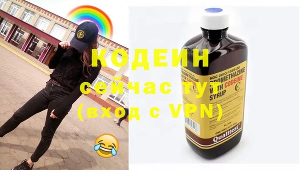 прущие грибы Кедровый