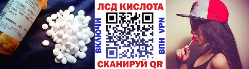LSD-25 экстази кислота  дарк нет состав  Шилка 